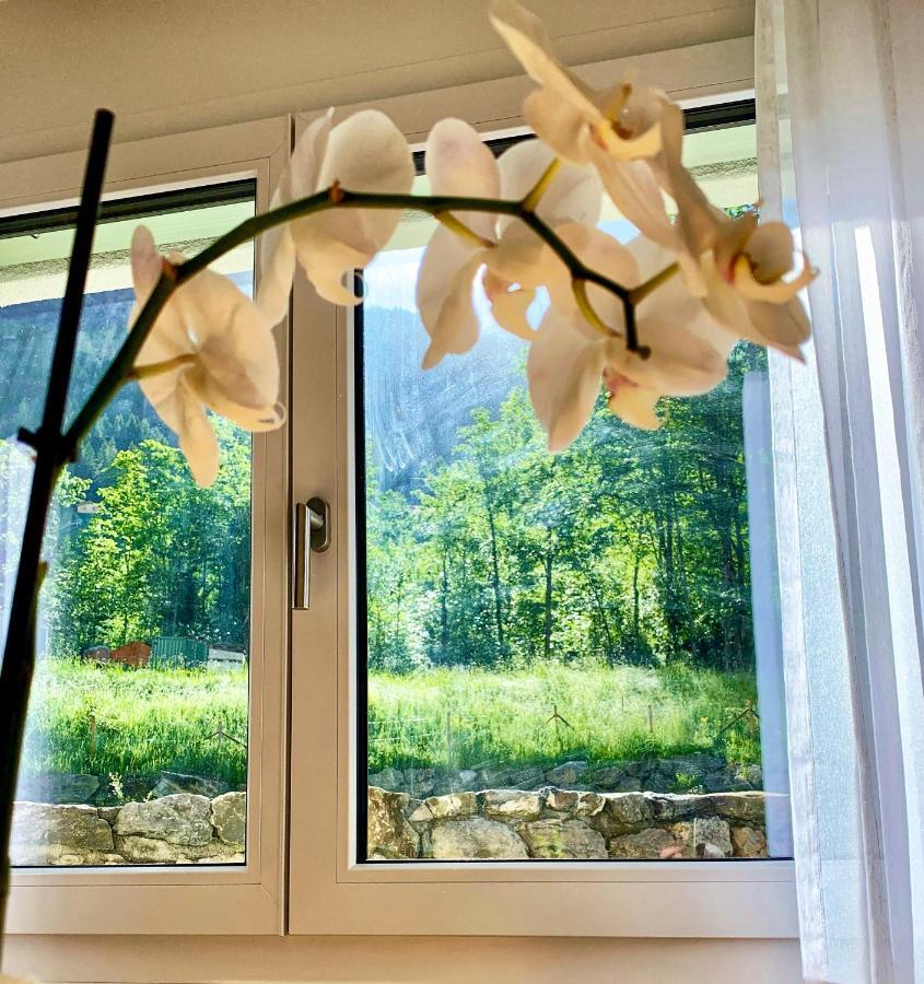 Bueelbad - Relax Holiday Apartment Кандерштег Екстер'єр фото