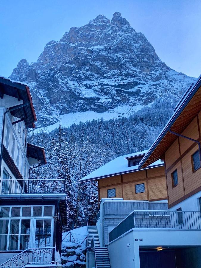 Bueelbad - Relax Holiday Apartment Кандерштег Екстер'єр фото